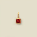 Pendentif Coloré Signe du Zodiaque